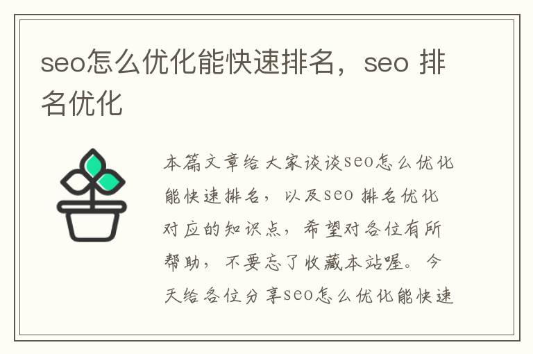 seo怎么优化能快速排名，seo 排名优化