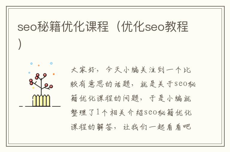 seo秘籍优化课程（优化seo教程）