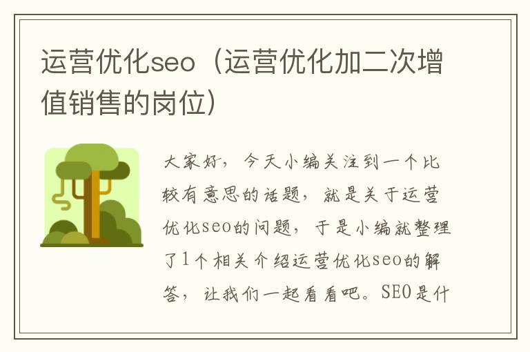 运营优化seo（运营优化加二次增值销售的岗位）