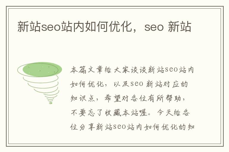 新站seo站内如何优化，seo 新站