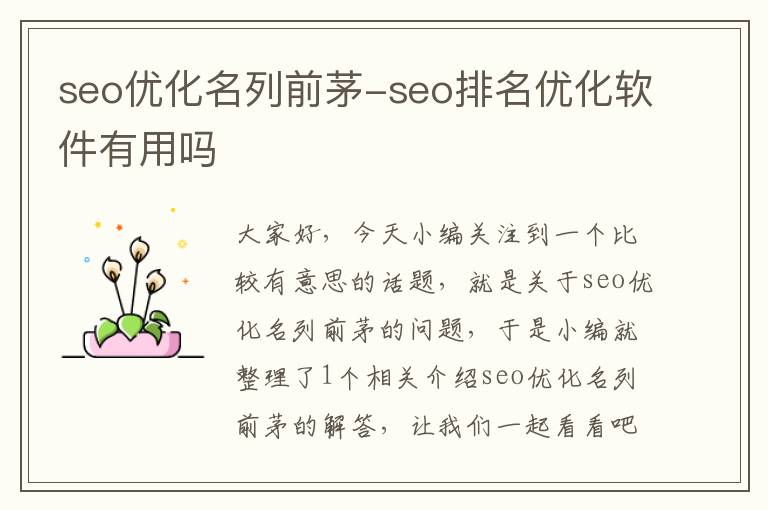 seo优化名列前茅-seo排名优化软件有用吗