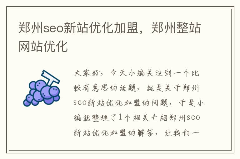 郑州seo新站优化加盟，郑州整站网站优化