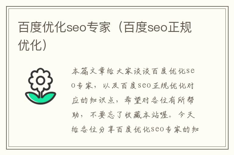 百度优化seo专家（百度seo正规优化）