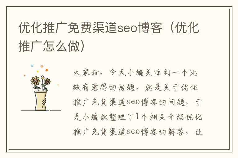 优化推广免费渠道seo博客（优化推广怎么做）