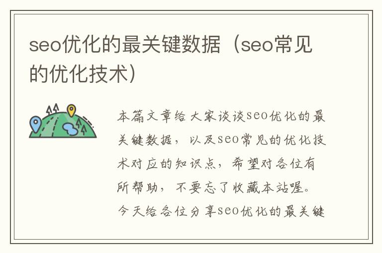 seo优化的最关键数据（seo常见的优化技术）