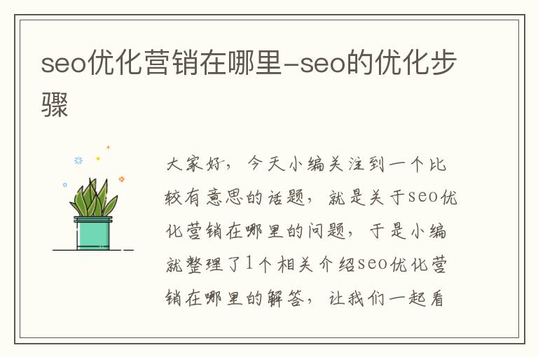 seo优化营销在哪里-seo的优化步骤