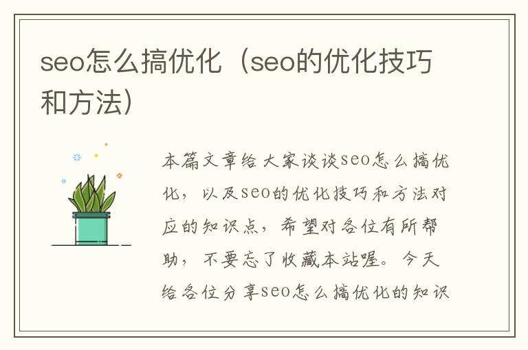 seo怎么搞优化（seo的优化技巧和方法）