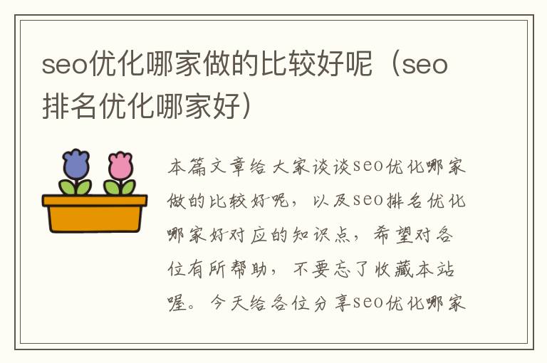 seo优化哪家做的比较好呢（seo排名优化哪家好）