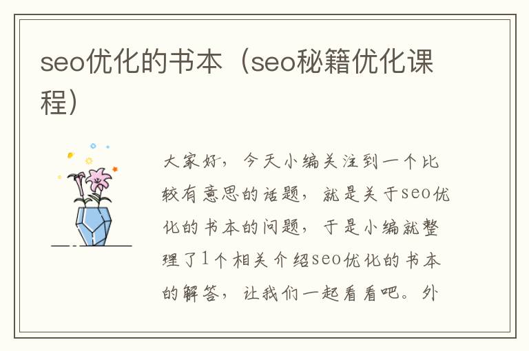 seo优化的书本（seo秘籍优化课程）