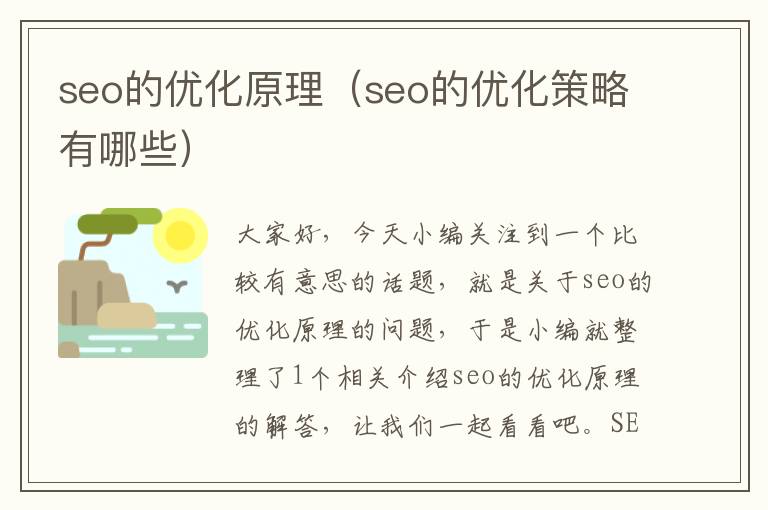 seo的优化原理（seo的优化策略有哪些）