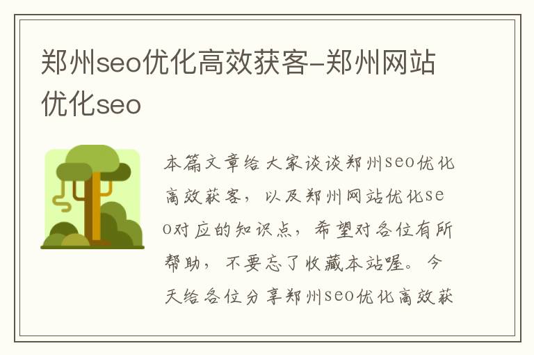 郑州seo优化高效获客-郑州网站优化seo