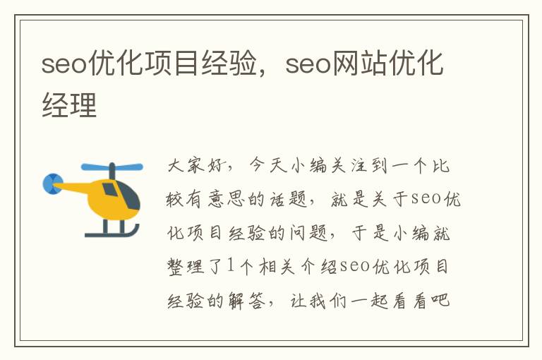 seo优化项目经验，seo网站优化经理