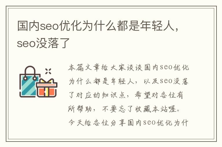 国内seo优化为什么都是年轻人，seo没落了