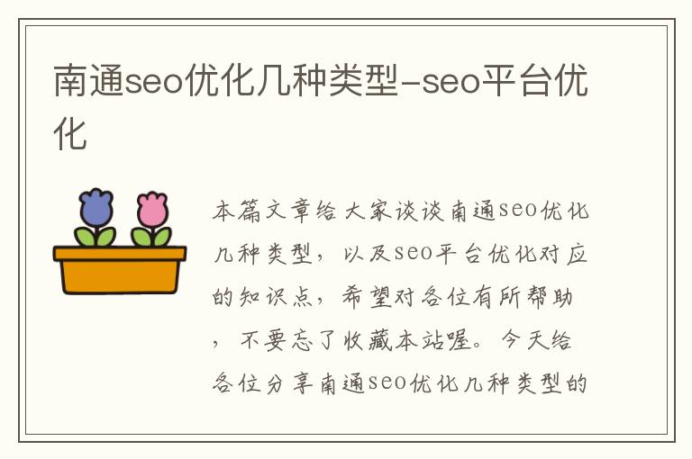 南通seo优化几种类型-seo平台优化