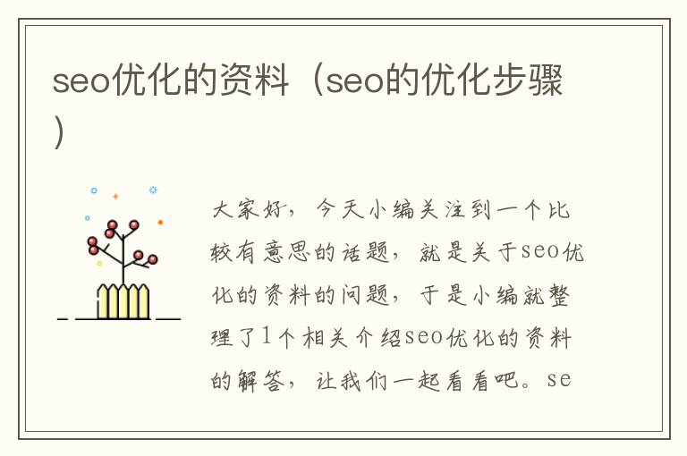 seo优化的资料（seo的优化步骤）