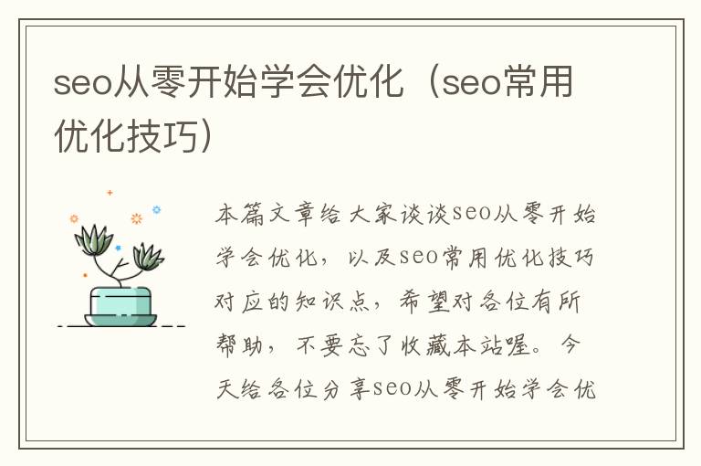 seo从零开始学会优化（seo常用优化技巧）