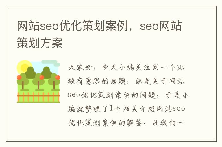 网站seo优化策划案例，seo网站策划方案