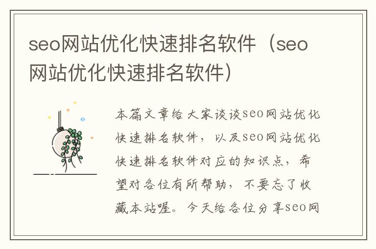 seo网站优化快速排名软件（seo网站优化快速排名软件）