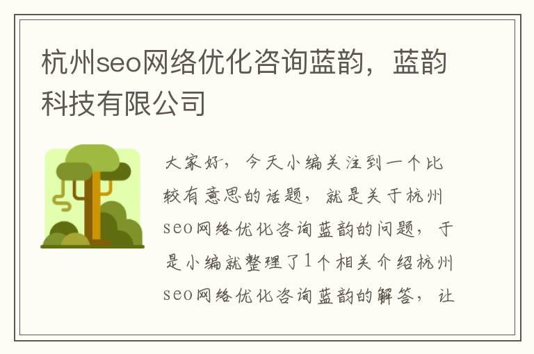 杭州seo网络优化咨询蓝韵，蓝韵科技有限公司