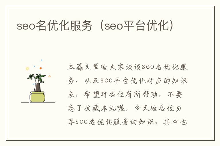 seo名优化服务（seo平台优化）