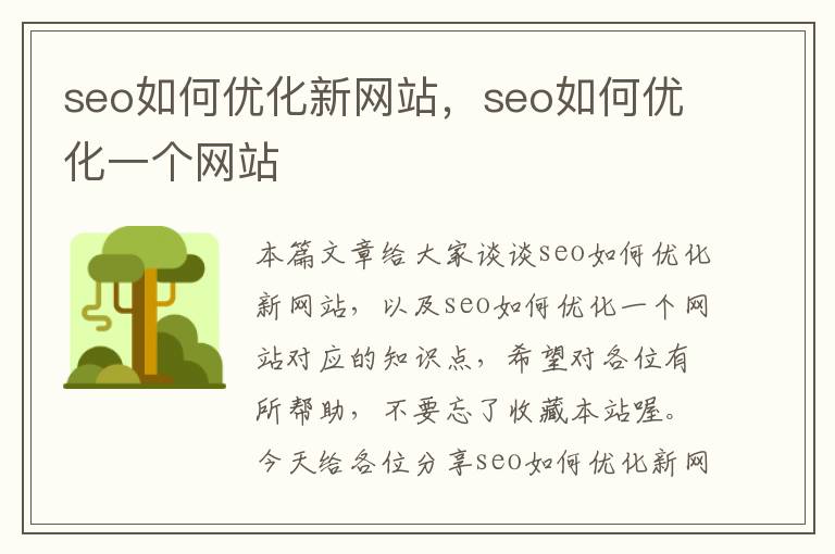 seo如何优化新网站，seo如何优化一个网站