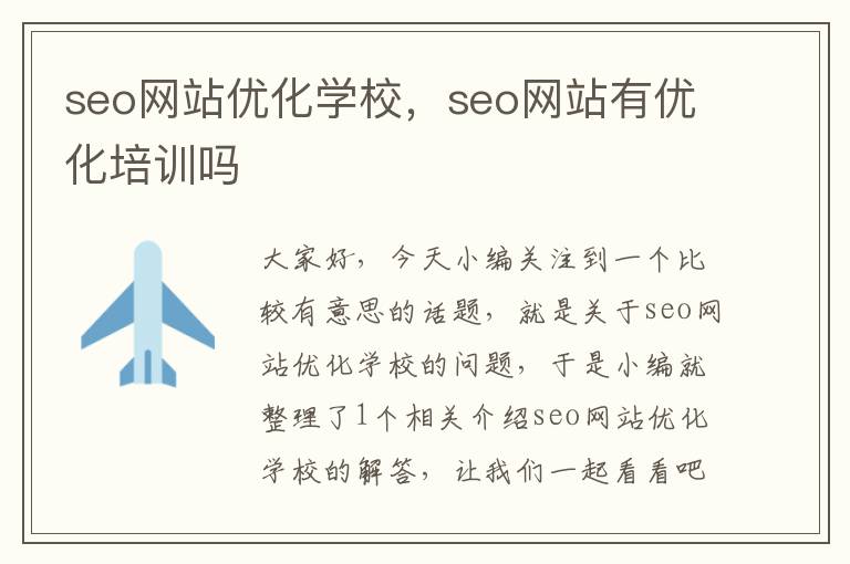 seo网站优化学校，seo网站有优化培训吗