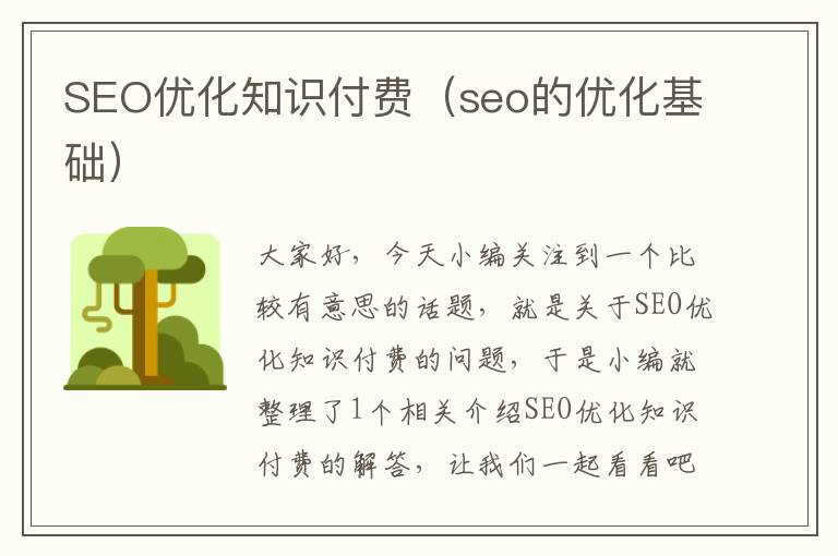 SEO优化知识付费（seo的优化基础）