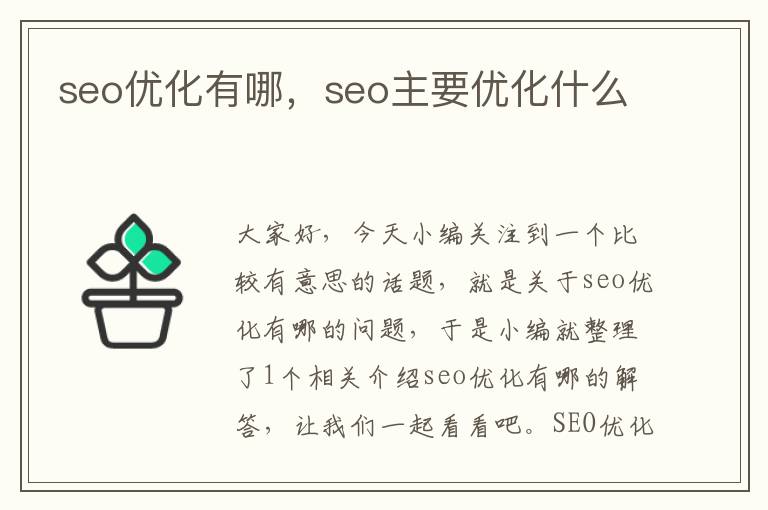 seo优化有哪，seo主要优化什么