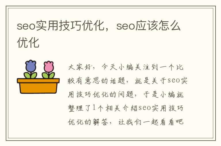 seo实用技巧优化，seo应该怎么优化