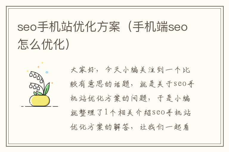 seo手机站优化方案（手机端seo怎么优化）