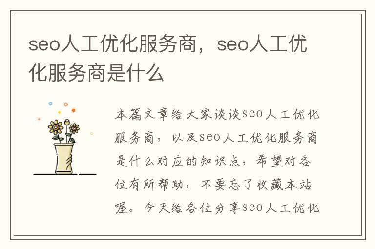 seo人工优化服务商，seo人工优化服务商是什么