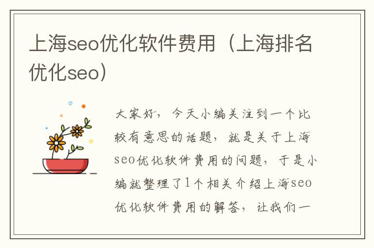 上海seo优化软件费用（上海排名优化seo）