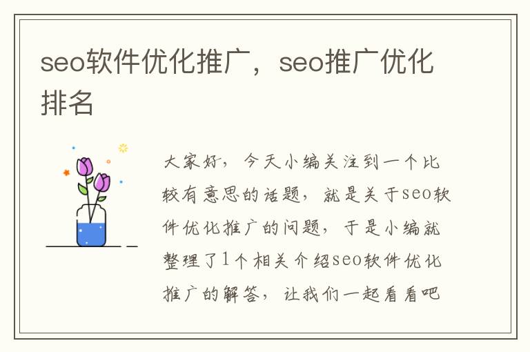 seo软件优化推广，seo推广优化排名