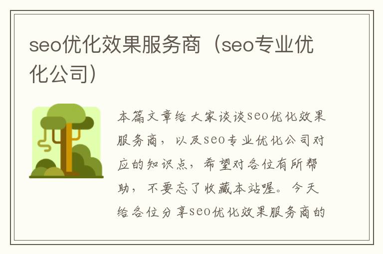 seo优化效果服务商（seo专业优化公司）