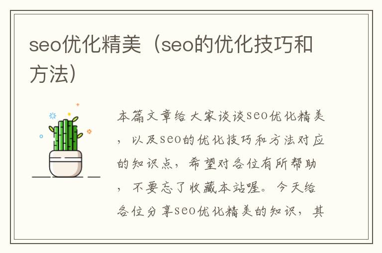 seo优化精美（seo的优化技巧和方法）