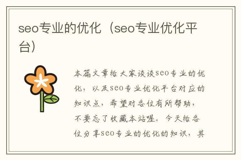 seo专业的优化（seo专业优化平台）