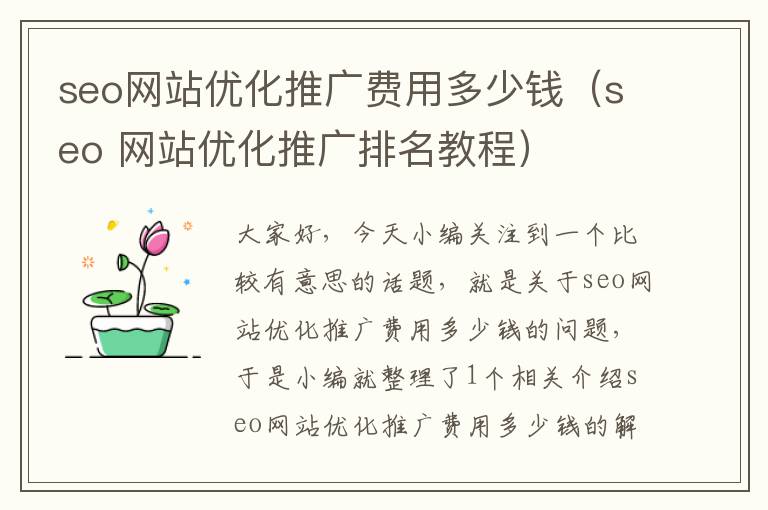 seo网站优化推广费用多少钱（seo 网站优化推广排名教程）