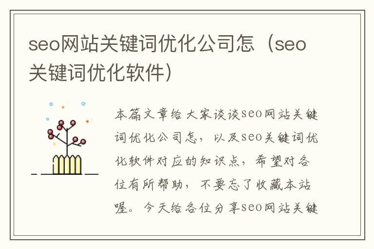 seo网站关键词优化公司怎（seo关键词优化软件）