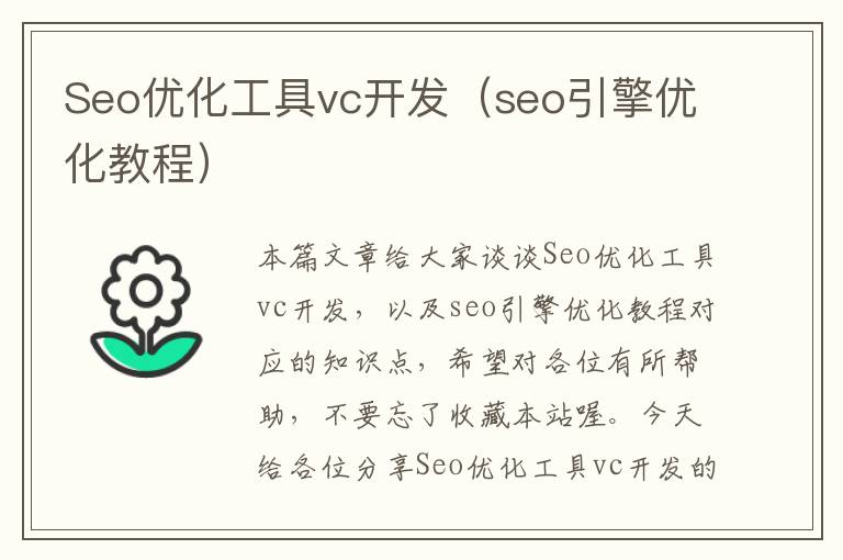 Seo优化工具vc开发（seo引擎优化教程）