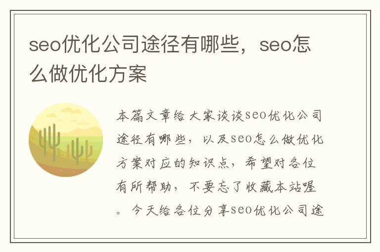 seo优化公司途径有哪些，seo怎么做优化方案