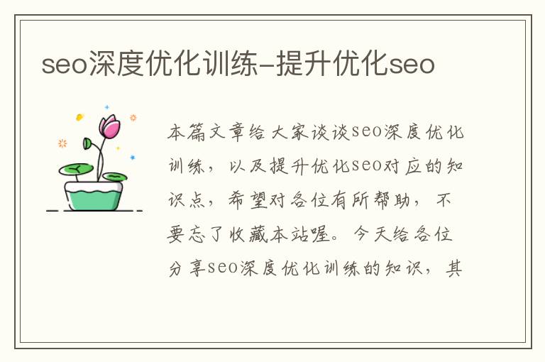 seo深度优化训练-提升优化seo