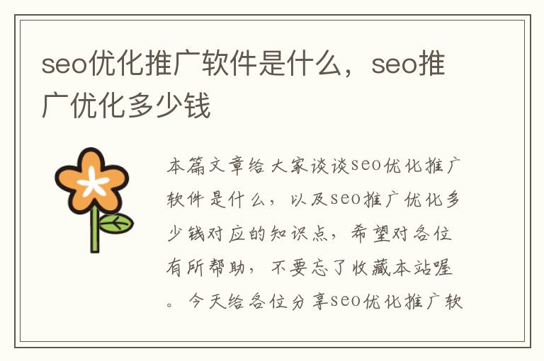 seo优化推广软件是什么，seo推广优化多少钱