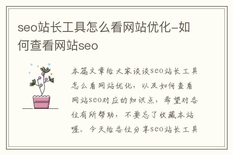 seo站长工具怎么看网站优化-如何查看网站seo