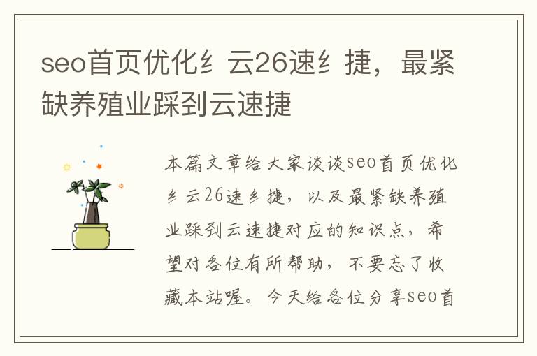 seo首页优化纟云26速纟捷，最紧缺养殖业踩刭云速捷