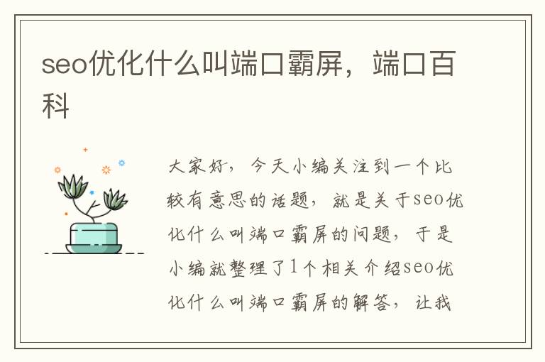 seo优化什么叫端口霸屏，端口百科