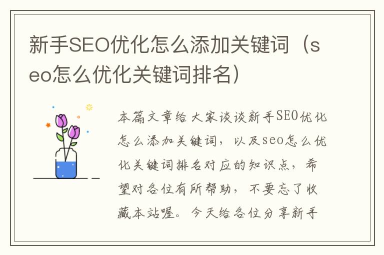 新手SEO优化怎么添加关键词（seo怎么优化关键词排名）