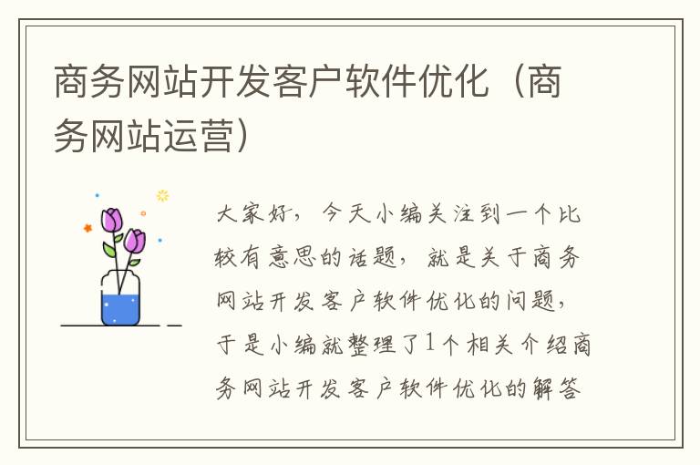 商务网站开发客户软件优化（商务网站运营）