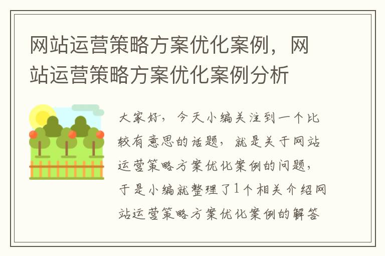 网站运营策略方案优化案例，网站运营策略方案优化案例分析