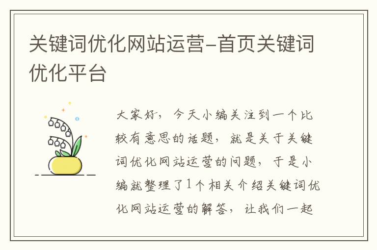 关键词优化网站运营-首页关键词优化平台