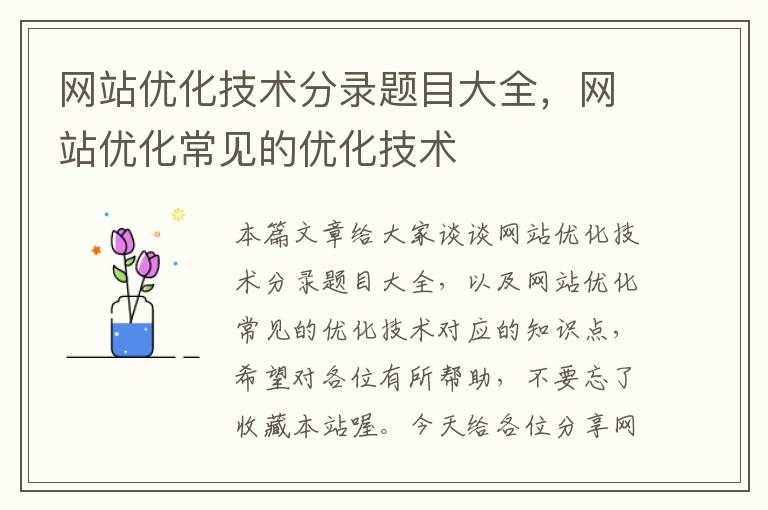 网站优化技术分录题目大全，网站优化常见的优化技术